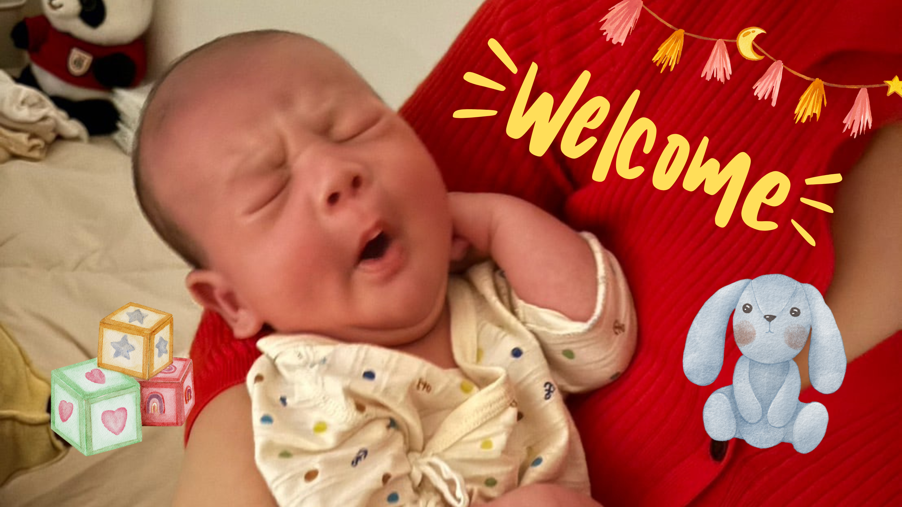 生まれたての赤ちゃん抱っこしませんか？券の商品画像